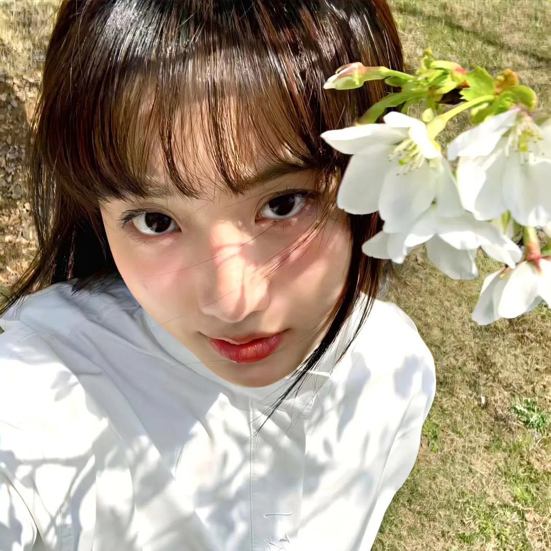 喀布尔的燕子
